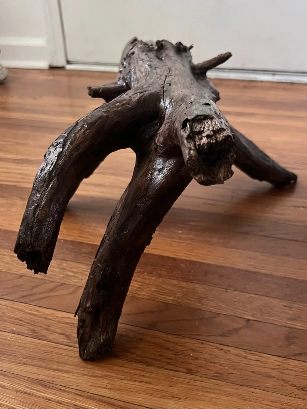 Natural Driftwood – Approx. 18–19 Inches – Perfect for Aquariums, Terrariums & R